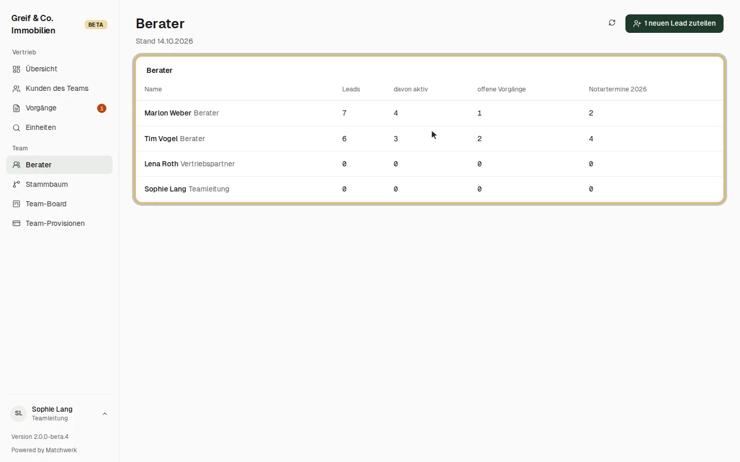 Die Berater des Teams